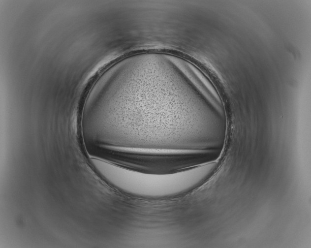 X0000113981173200910161616