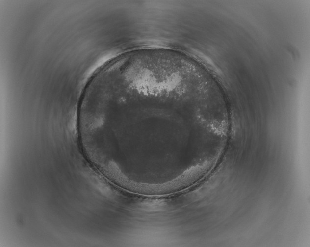 X0000113981174200910161616