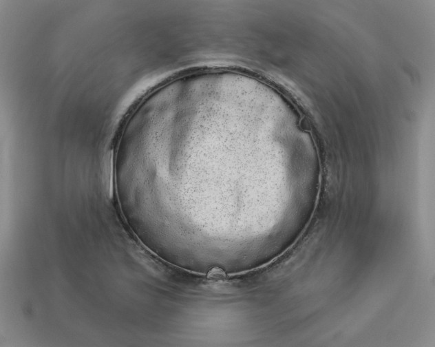 X0000113981175200910161616