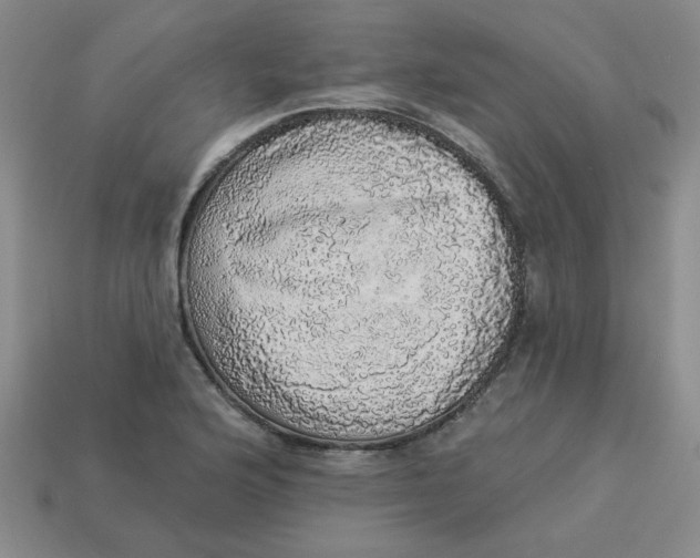 X0000113981176200910161616