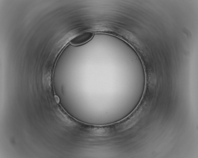 X0000113981177200910161616