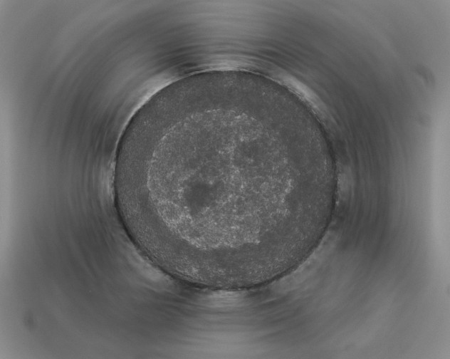 X0000113981178200910161616