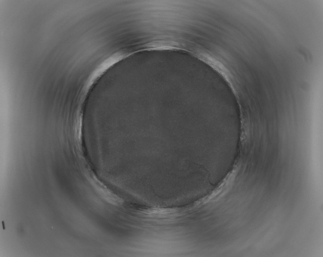 X0000113981179200910161616