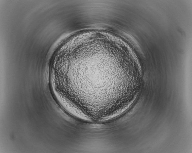 X0000113981180200910161616