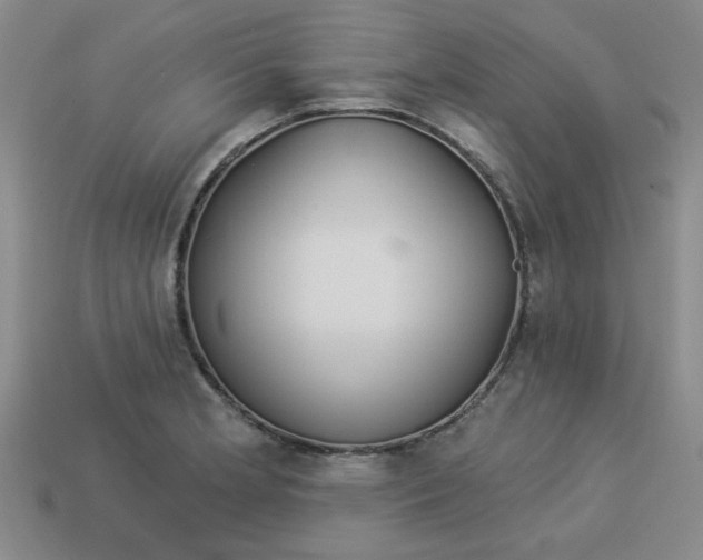 X0000113981181200910161616