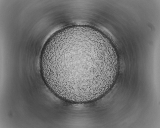 X0000113981182200910161616