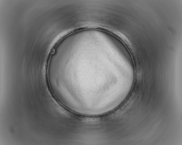 X0000113981183200910161616