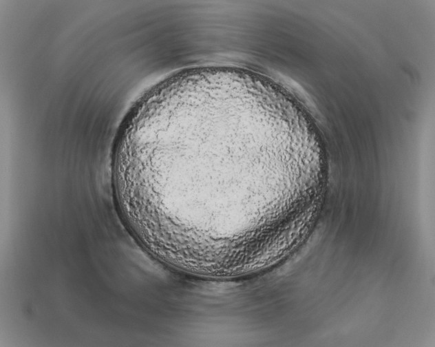 X0000113981184200910161616