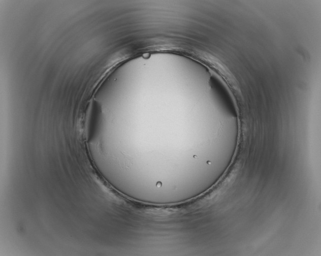 X0000113981185200910161616