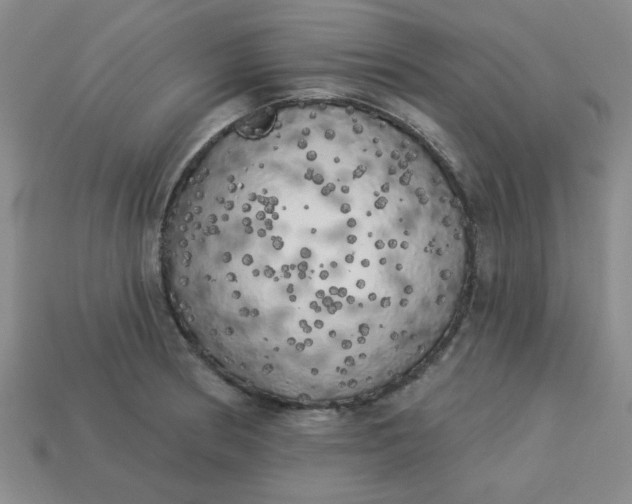 X0000113981186200910161616