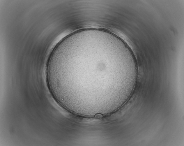 X0000113981187200910161616