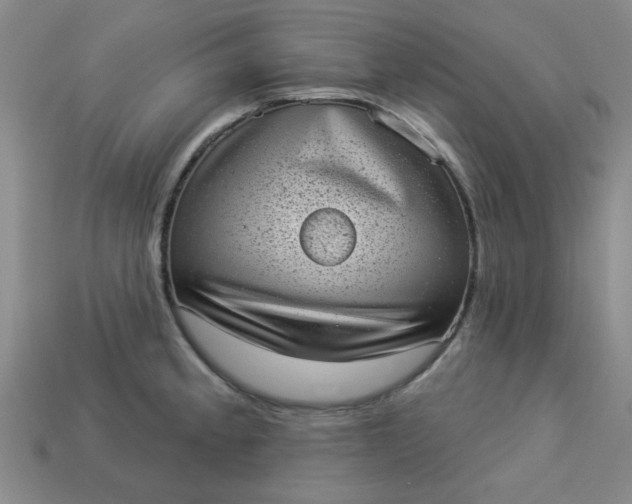 X0000113981189200910161615