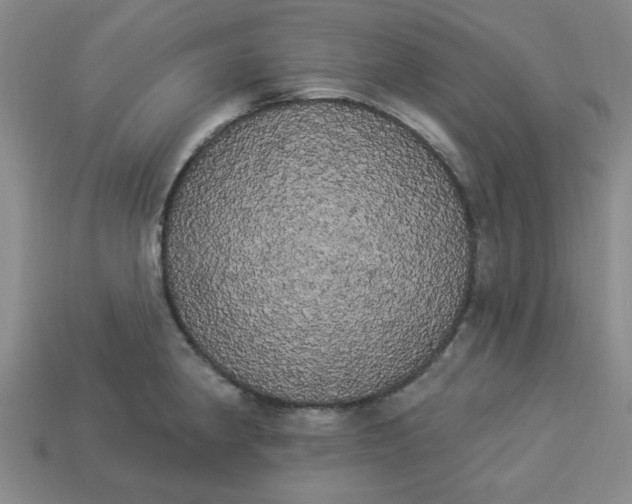 X0000113981190200910161615