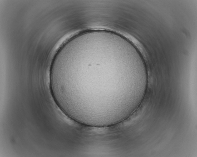 X0000113981191200910161615