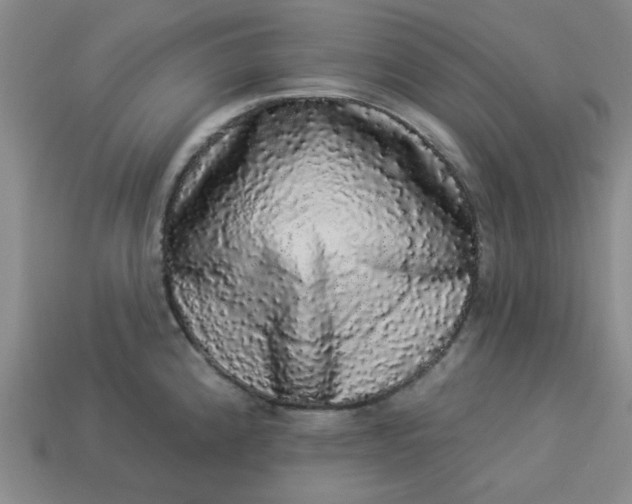 X0000113981192200910161615