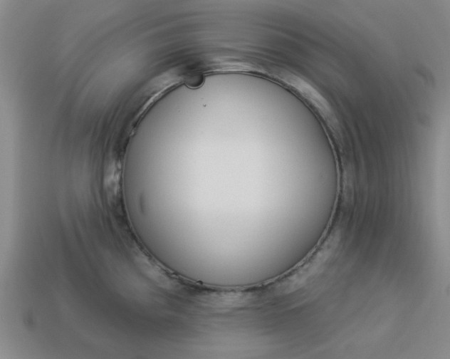 X0000113981193200910161615