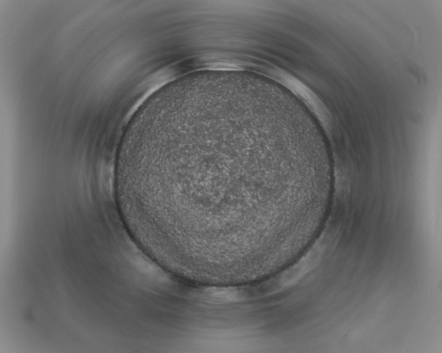 X0000113981194200910161615