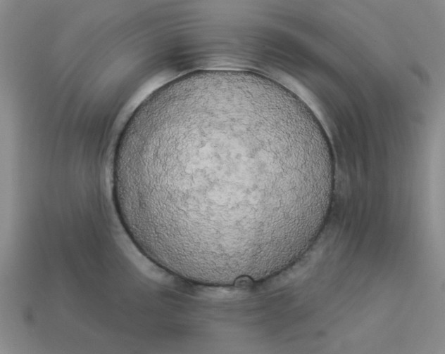 X0000113981195200910161615