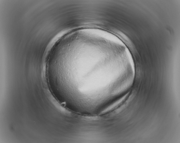 X0000113981196200910161615