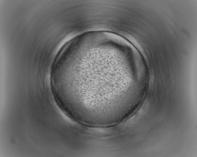 X0000113981197200910161615