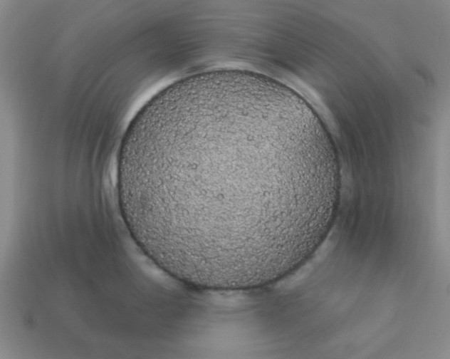 X0000113981198200910161615