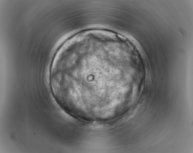 X0000113981199200910161615