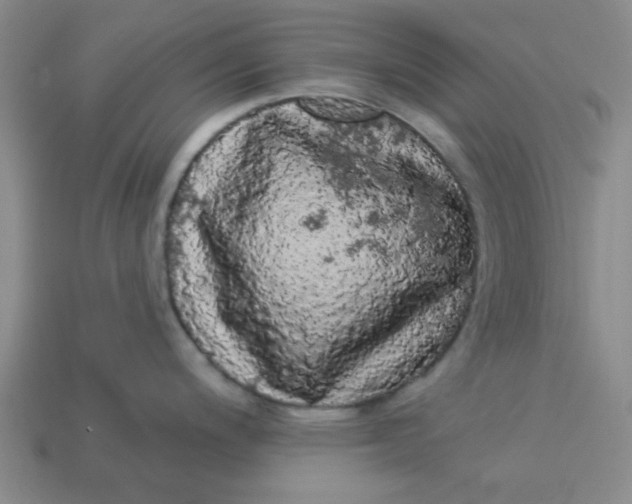 X0000113981200200910161615