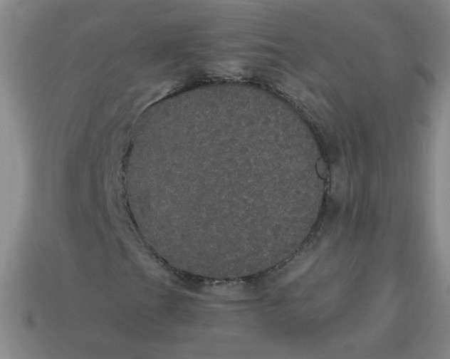 X0000113981201200910161614