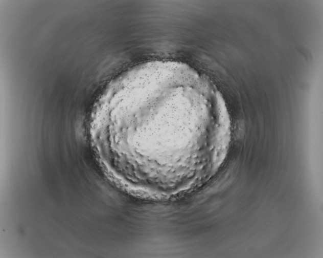 X0000113981202200910161614