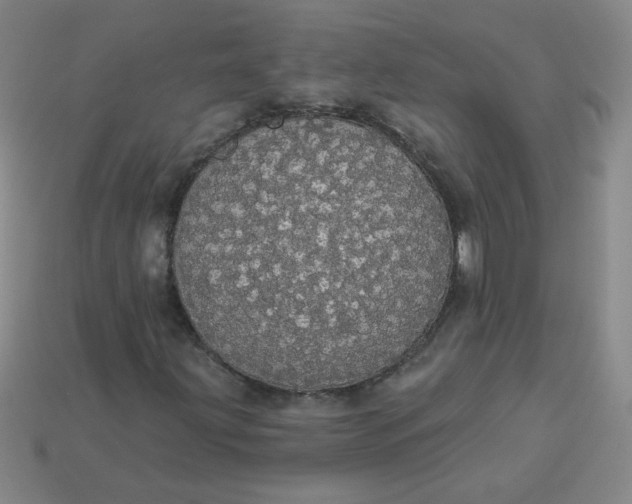 X0000113981203200910161614