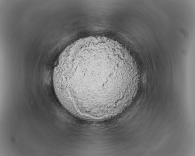 X0000113981204200910161614