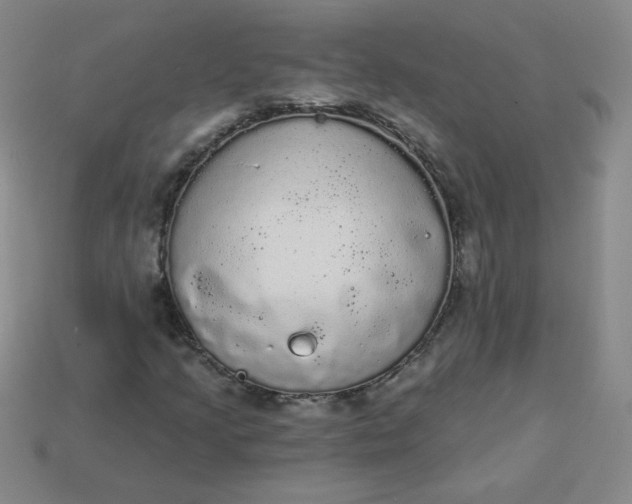 X0000113981205200910161614