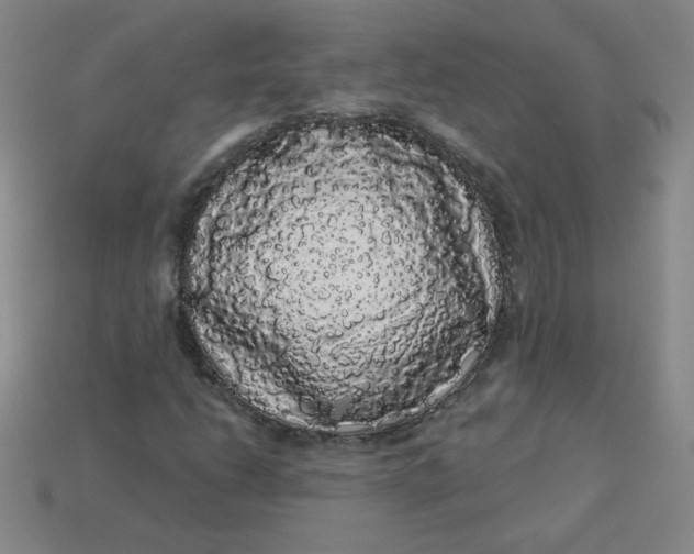 X0000113981206200910161614