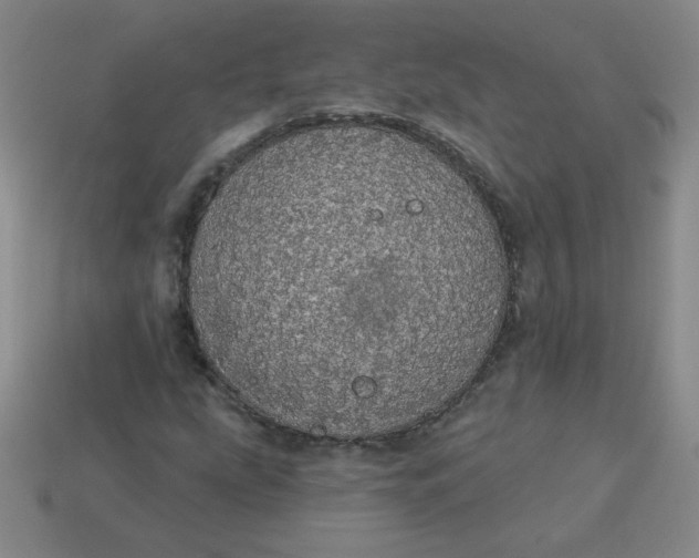 X0000113981207200910161614