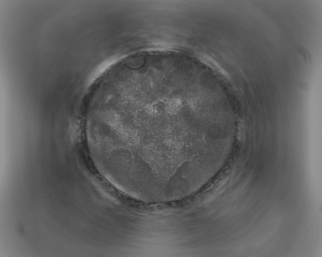 X0000113981208200910161615