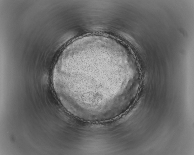 X0000113981209200910161615