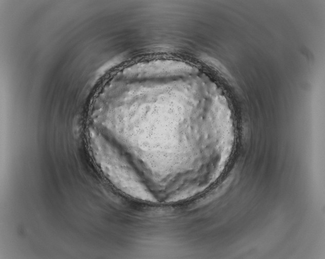 X0000113981210200910161615