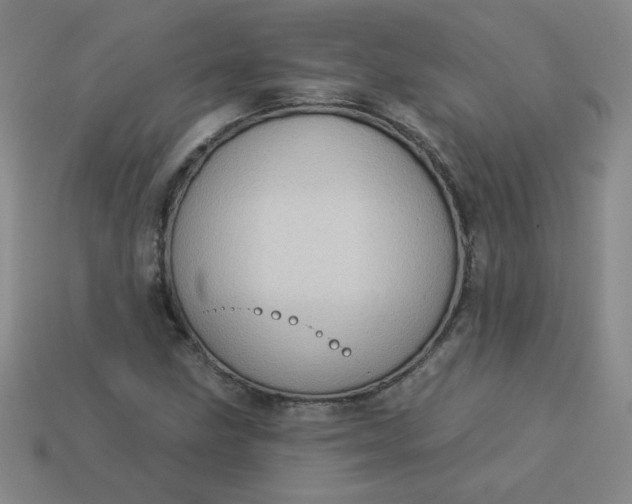 X0000113981211200910161615