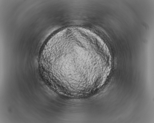 X0000113981212200910161615