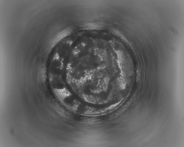 X0000113981213200910161615