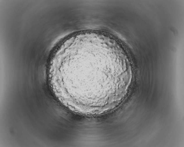 X0000113981214200910161615