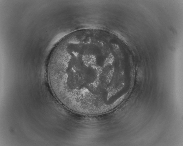 X0000113981215200910161615