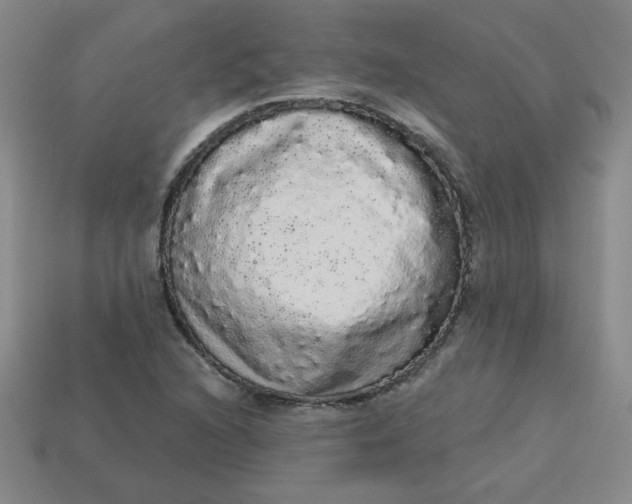 X0000113981216200910161615