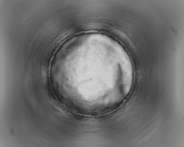 X0000113981217200910161615