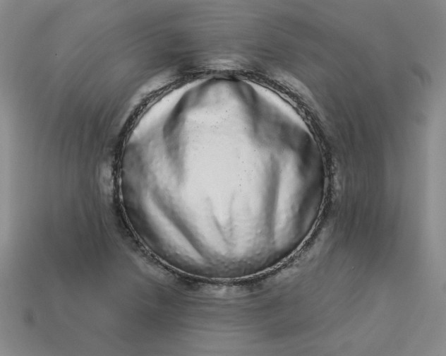 X0000113981218200910161615