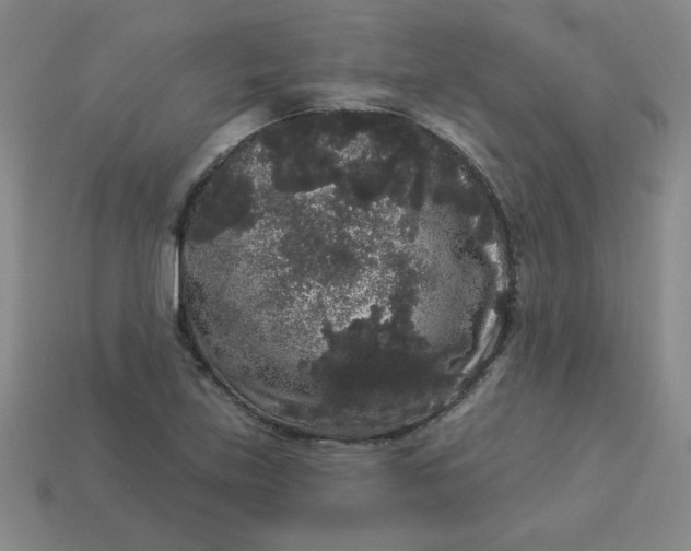 X0000113981219200910161615