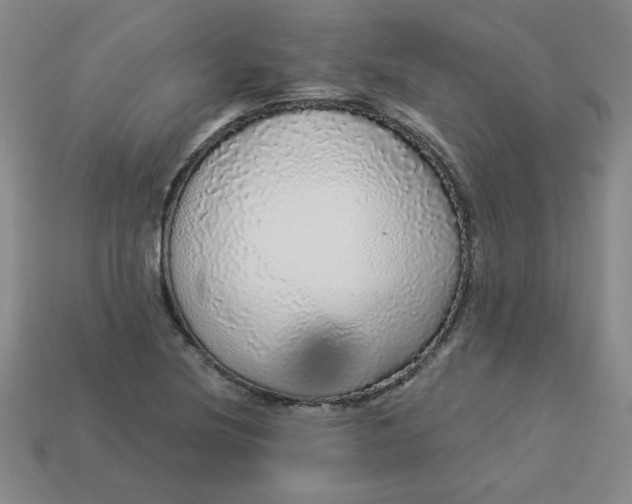 X0000113981220200910161615