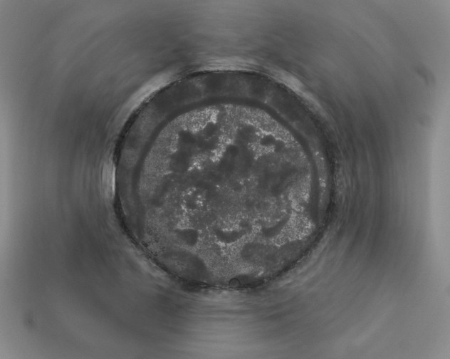 X0000113981221200910161615