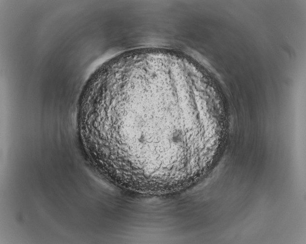 X0000113981222200910161615