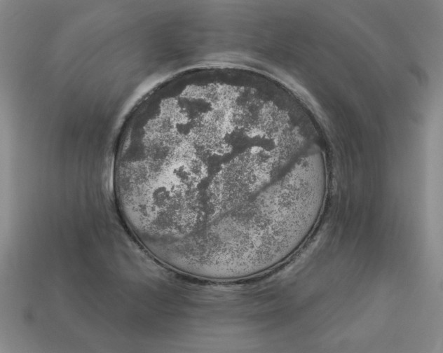 X0000113981224200910161615